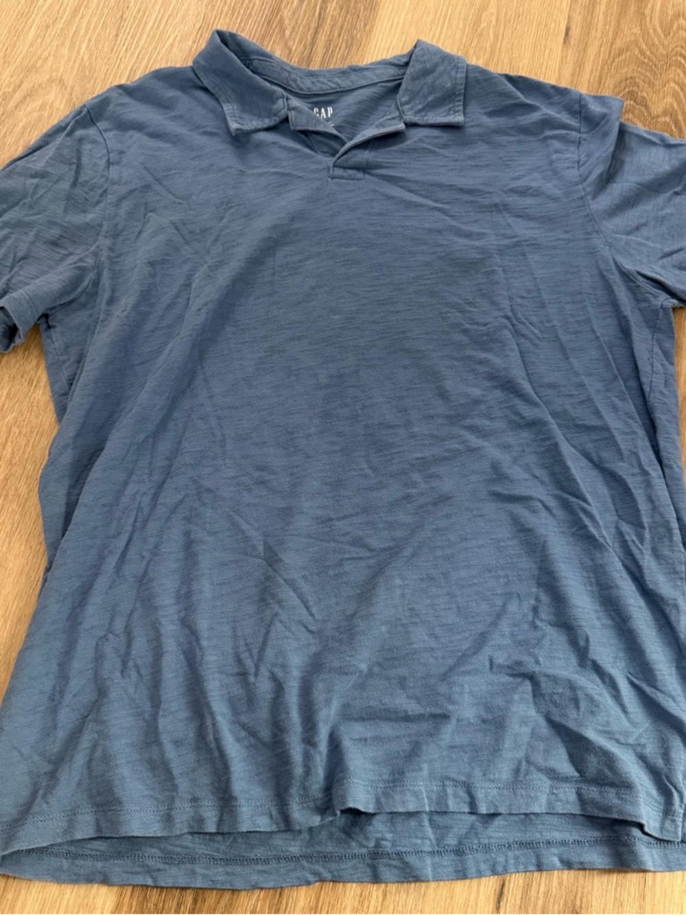 GAP Men's Slate Blue Polo